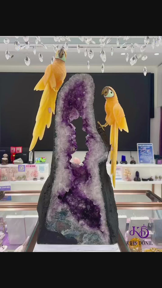 紫晶洞巴西手工雕刻鸚鵡